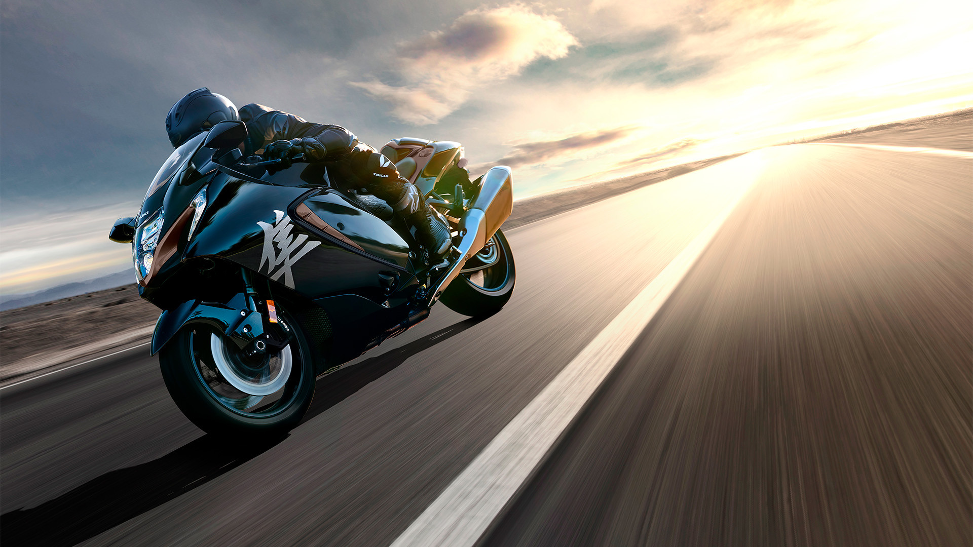 Imagem do modelo FALCÃO PEREGRINO / PERFEITAMENTE EQUILIBRADA.